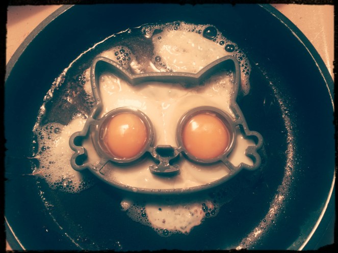 IMG_20160703_130328_832