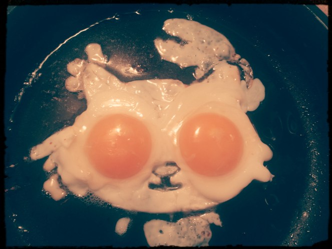 IMG_20160703_130406_416