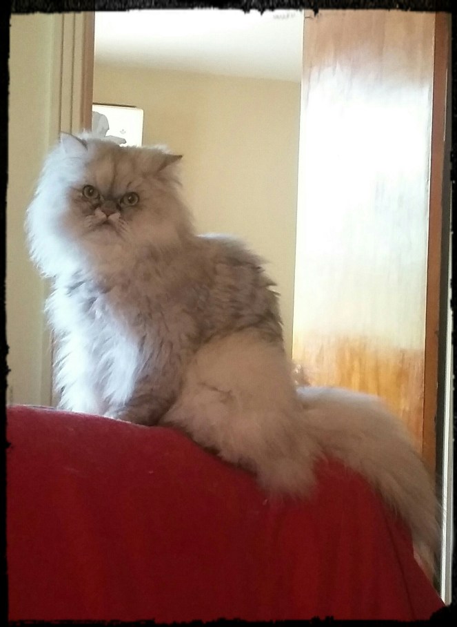 IMG_20160829_101803_402