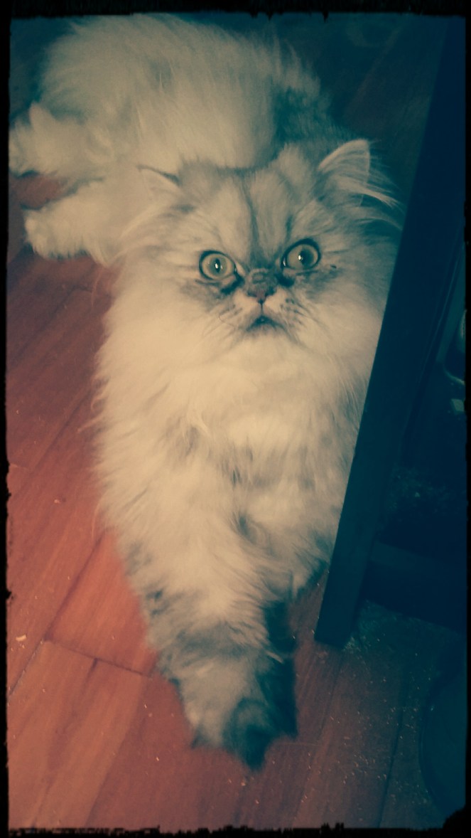 IMG_20160831_153027_443