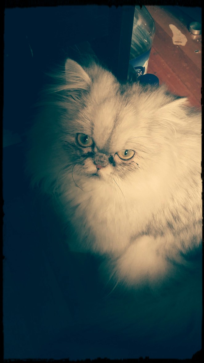 IMG_20160831_153103_776