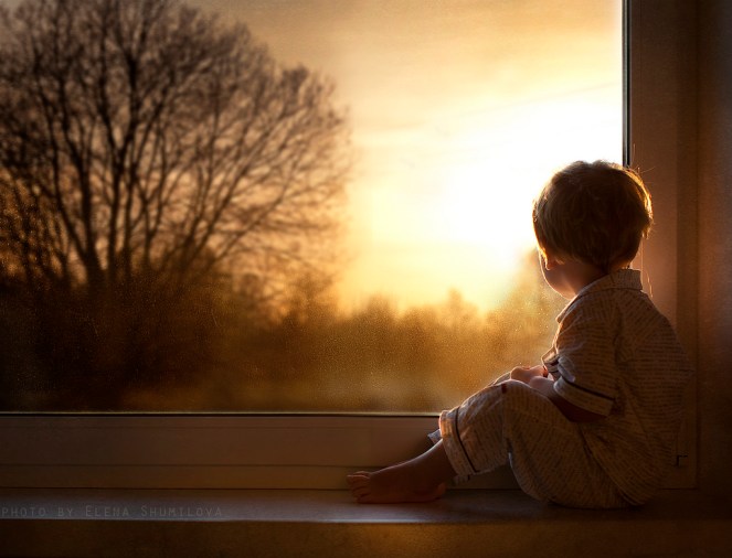 13113325165_8f08b3568a_b