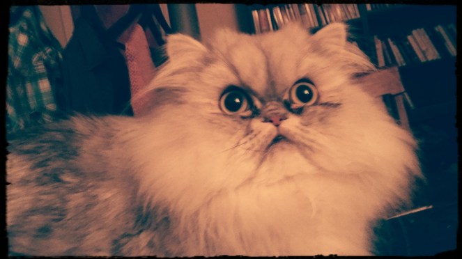 img_20160923_210048_469