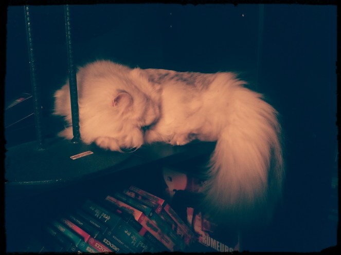 img_20160925_195807_972