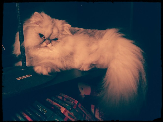 img_20160925_195854_705