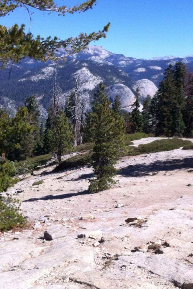 received_1679572435703674