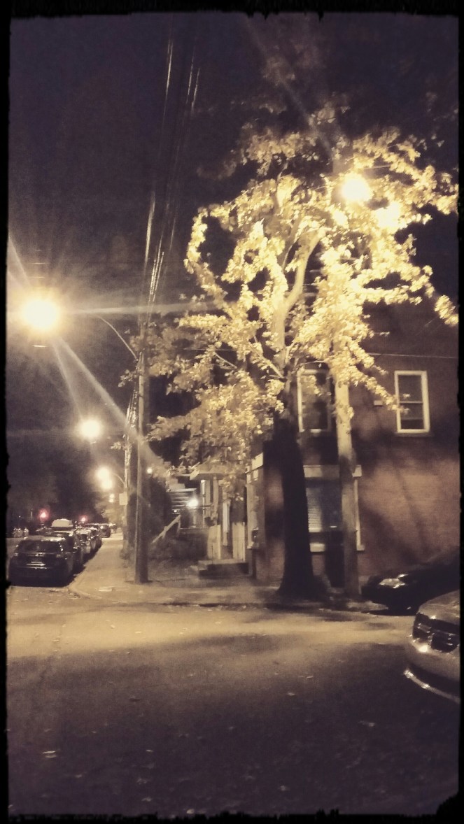 img_20161102_194727_993