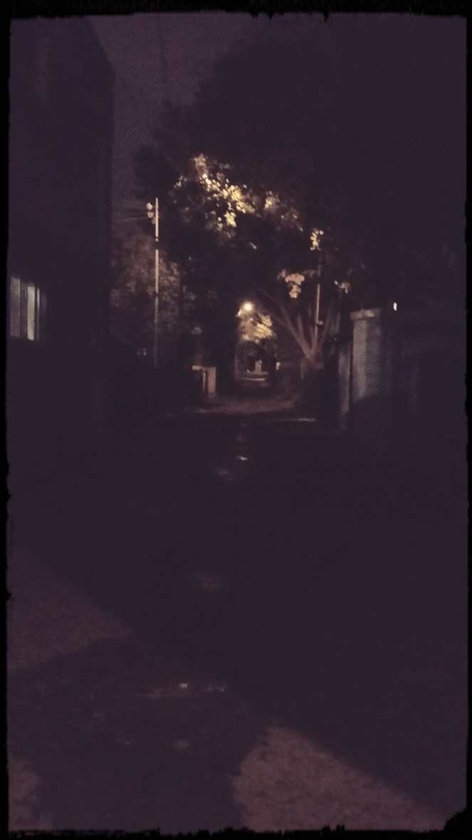 img_20161102_194924_255