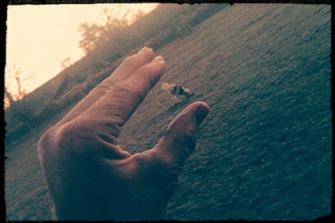 img_20161214_123838_025