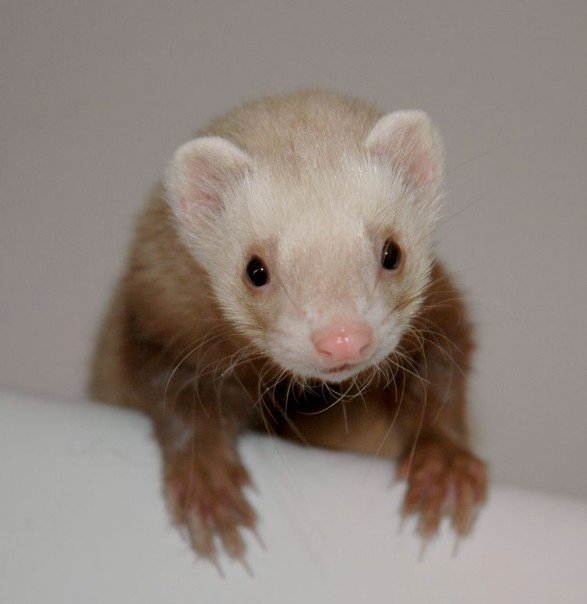 217254_5030011233_6711_n