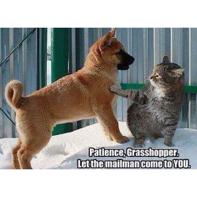 35e782fbd872cc67424ac76d48b7dfdc