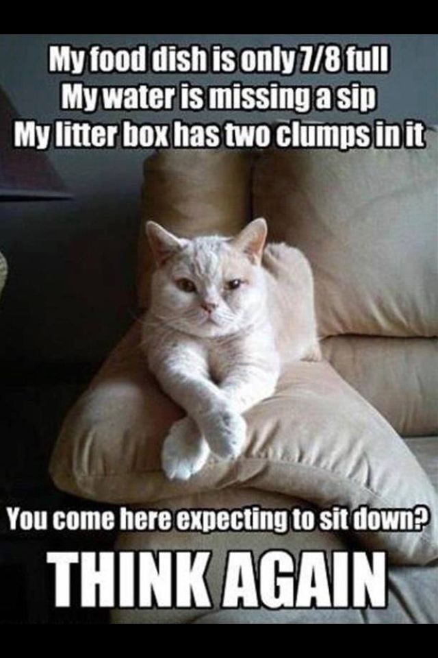 49179026fb4595149c45654f0b5f10c4