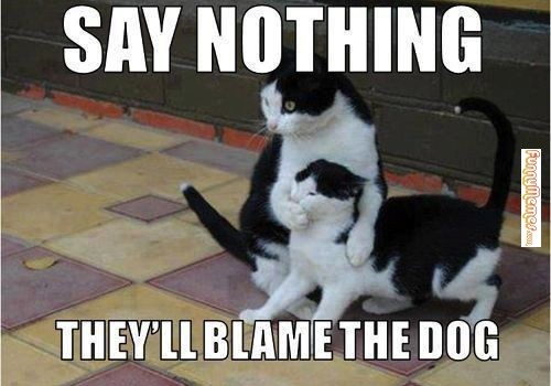 a0b40049-2968-4662-87f6-a83b