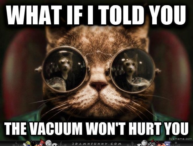 Funny-cat-dog-Top-25-funniest-cat-and-dog-quotes-13