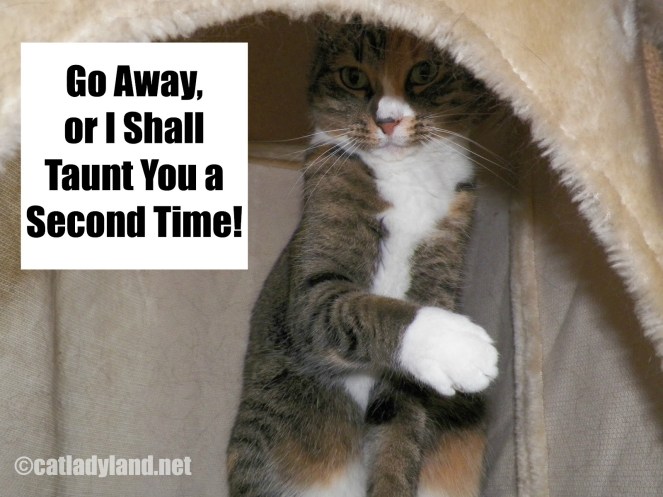 the-full-monty-python