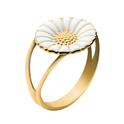 b8a8cb127e01b7750a7e454e4054e227