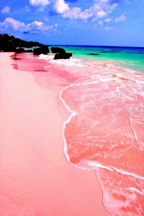 2598984b341ae3f4a4bd1e726f125fc3--pink-sand-beach-bermuda-pink-beach