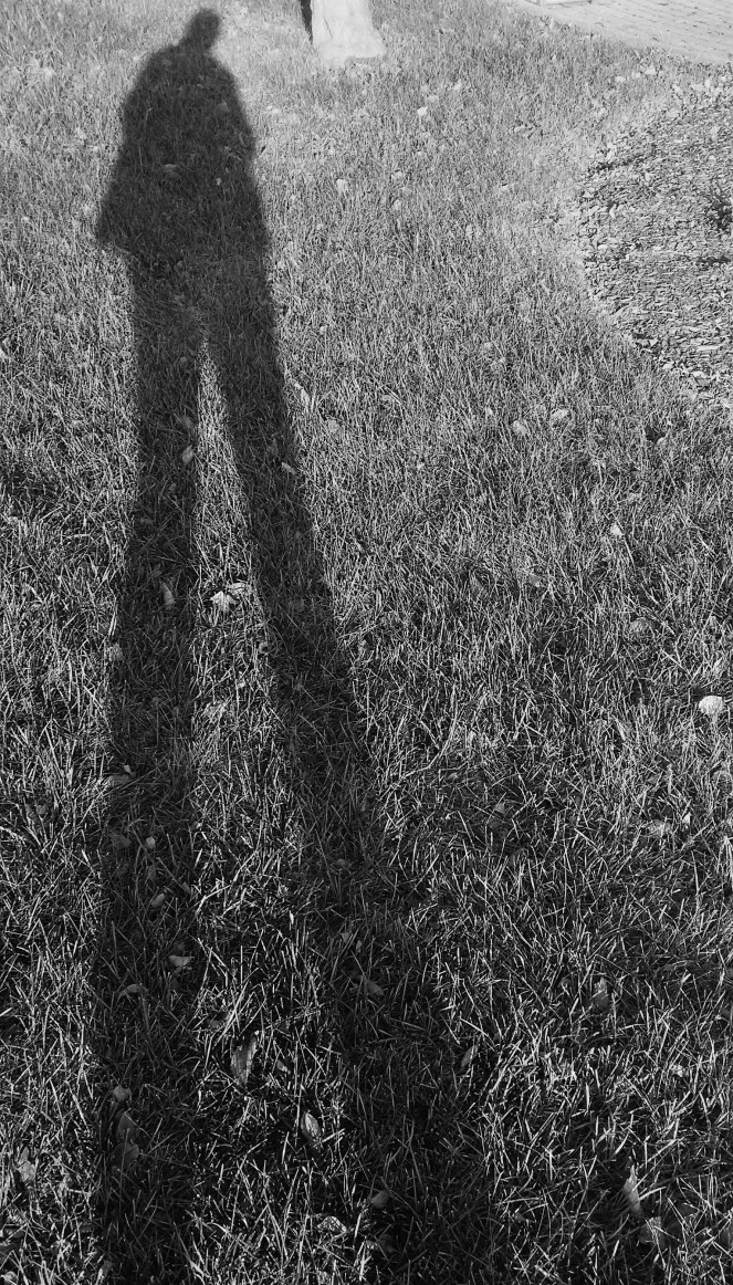 IMG_20171010_172314_152