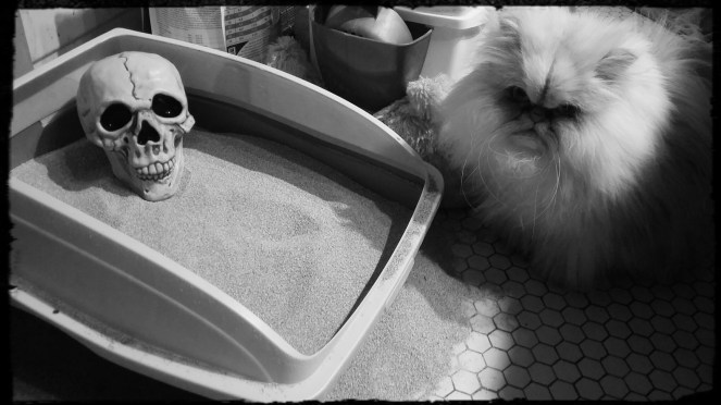 IMG_20171031_183513_515