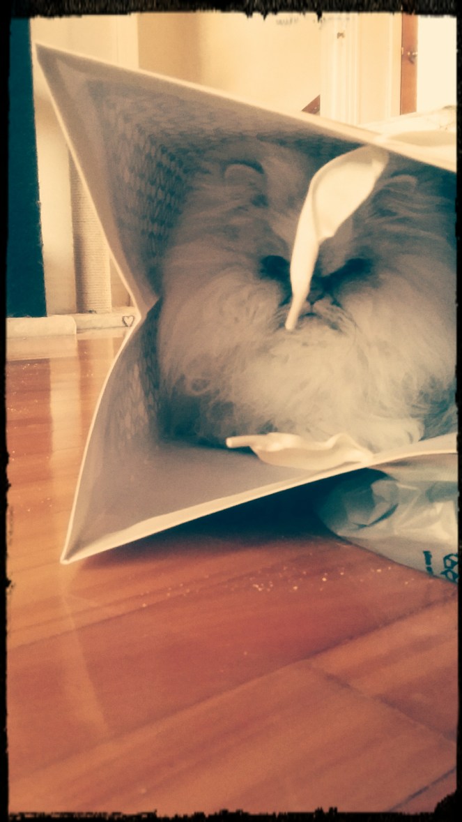 IMG_20171111_113129_193