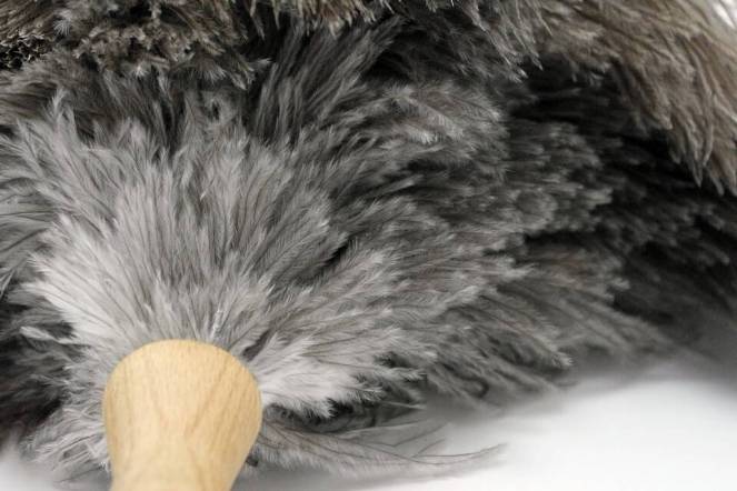 Petit-plumeau-veritables-plumes-autruche-4