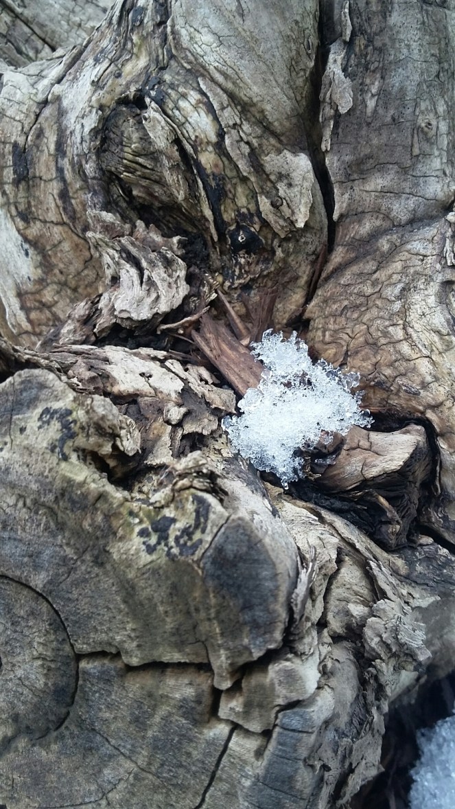 20180311_163128_resized