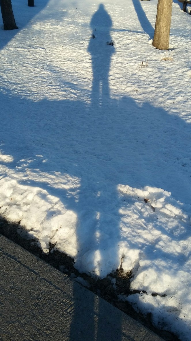 20180317_181602_resized