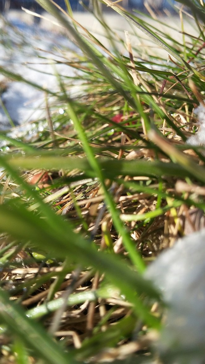 20180325_081956_resized