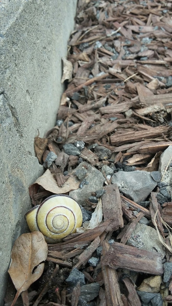 20180329_145550_resized