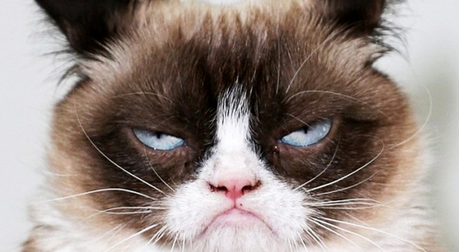 grumpy_cat_ppcore