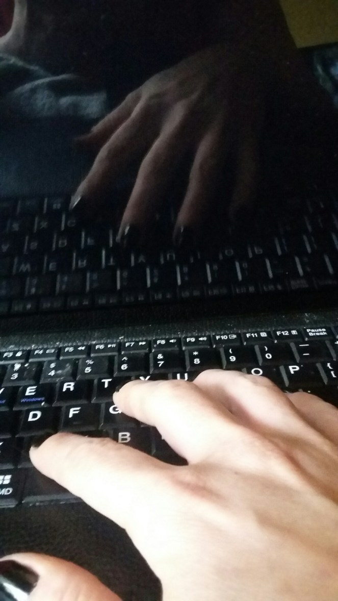 20180713_183040(0)_resized