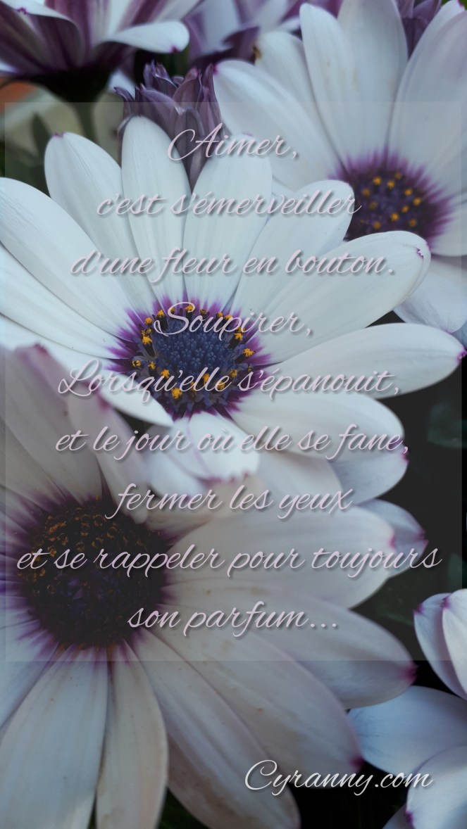 PhotoEditor_20190608_215210339