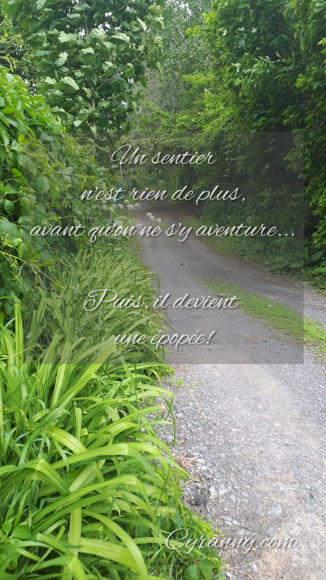 PhotoEditor_20190611_185919393