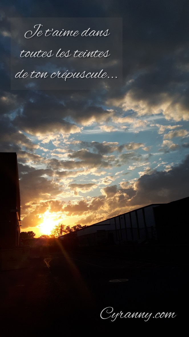 PhotoEditor_20190621_233006678