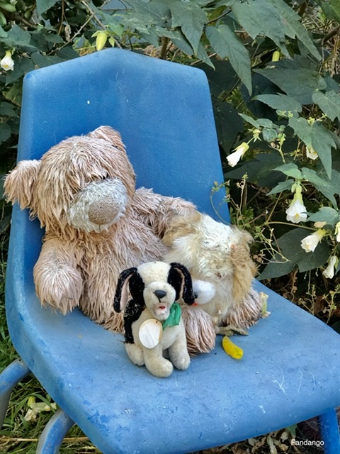 fd4eff43-46f9-4433-9ef5-fde16bb111a1