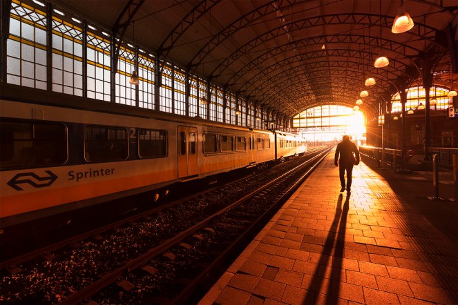 39331004870_d06d82dcee_b