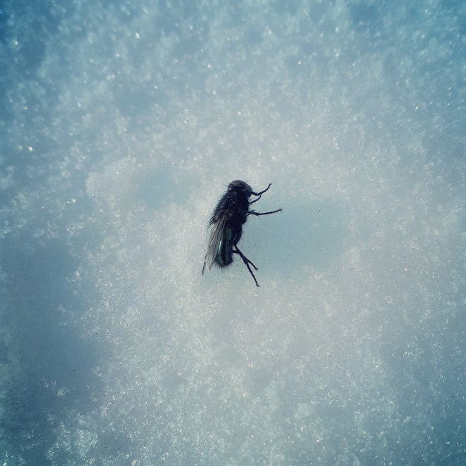 IMG_20191113_160809_153