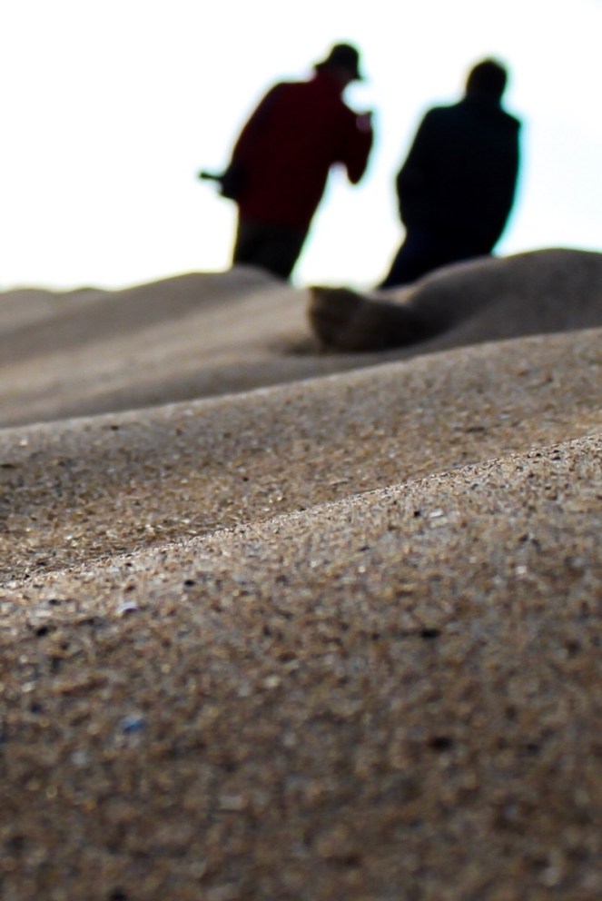 514fcccd-d112-4524-9949-740878360d68