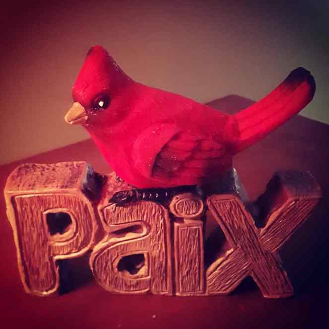 IMG_20191219_182852_939