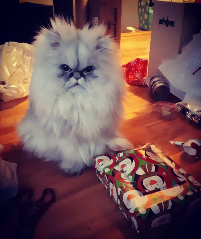 IMG_20191222_161049_317