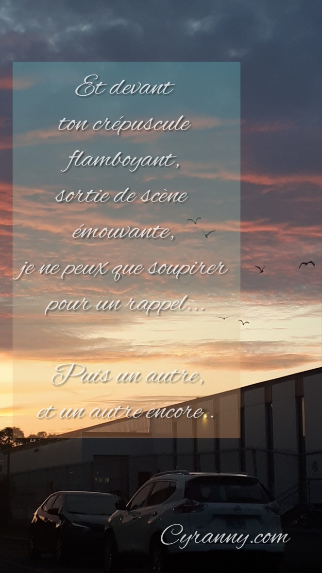 Polish_20200126_165109490