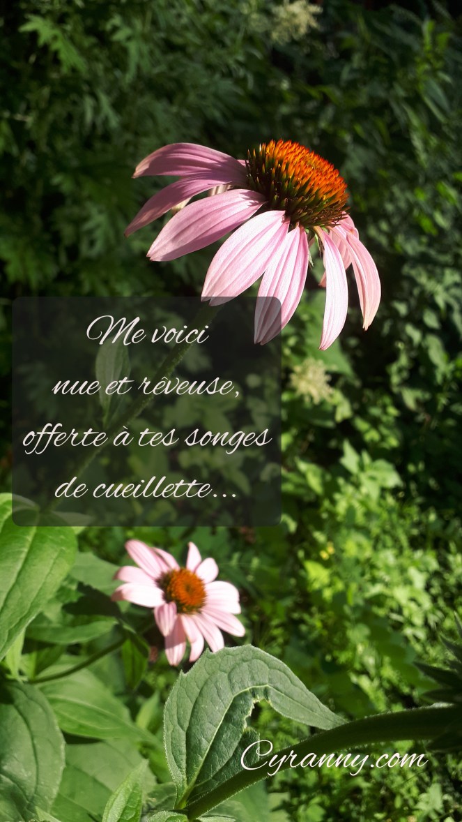 Polish_20200131_212839704