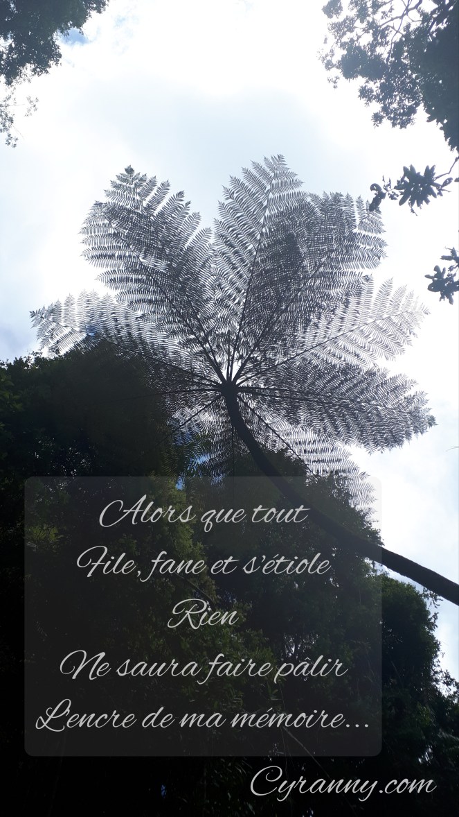 Polish_20200307_213237736