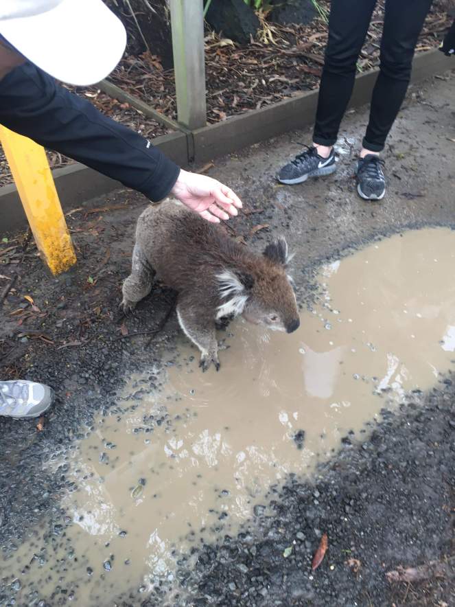 received_2898735156887083