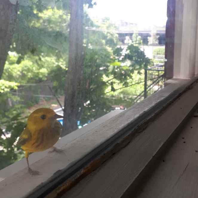 IMG_20200614_130206_734