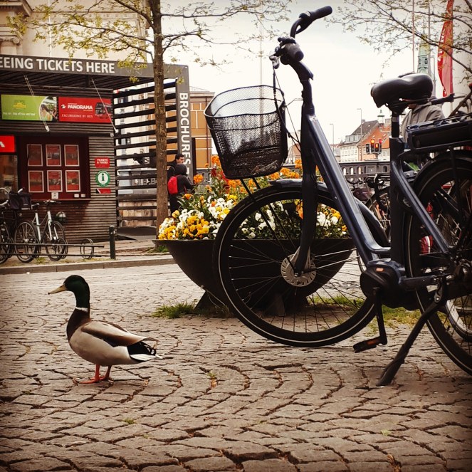 IMG_20190511_093057_453