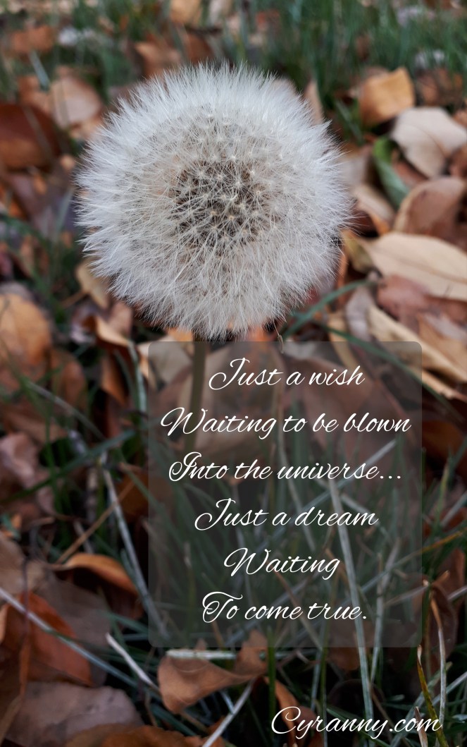 Polish_20201122_234641629