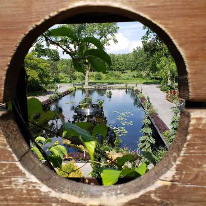 IMG_20200822_143036_123