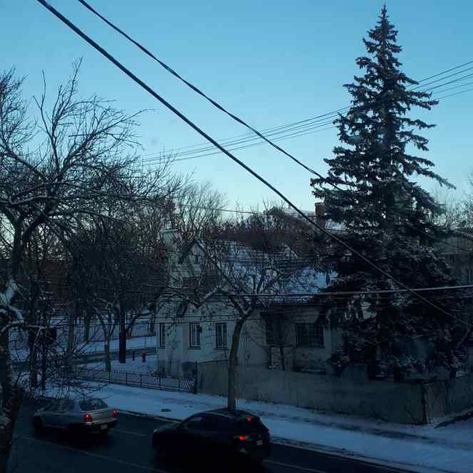 IMG_20201210_174819_153