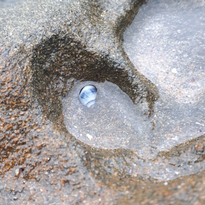 IMG_20200217_221609_077